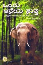 ಒಂದು ಆನೆಯ ಸುತ್ತ